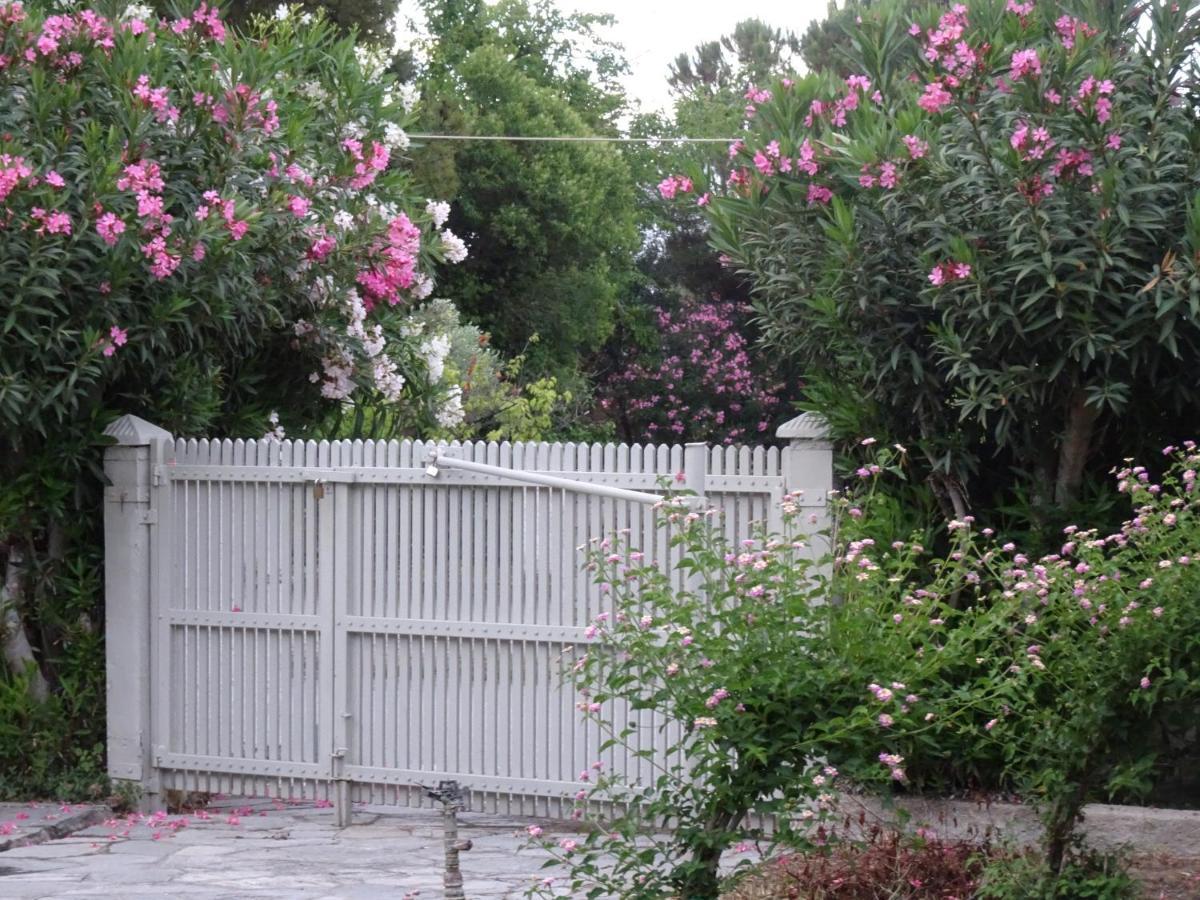 Spitaki Villa Pefkochori Ngoại thất bức ảnh